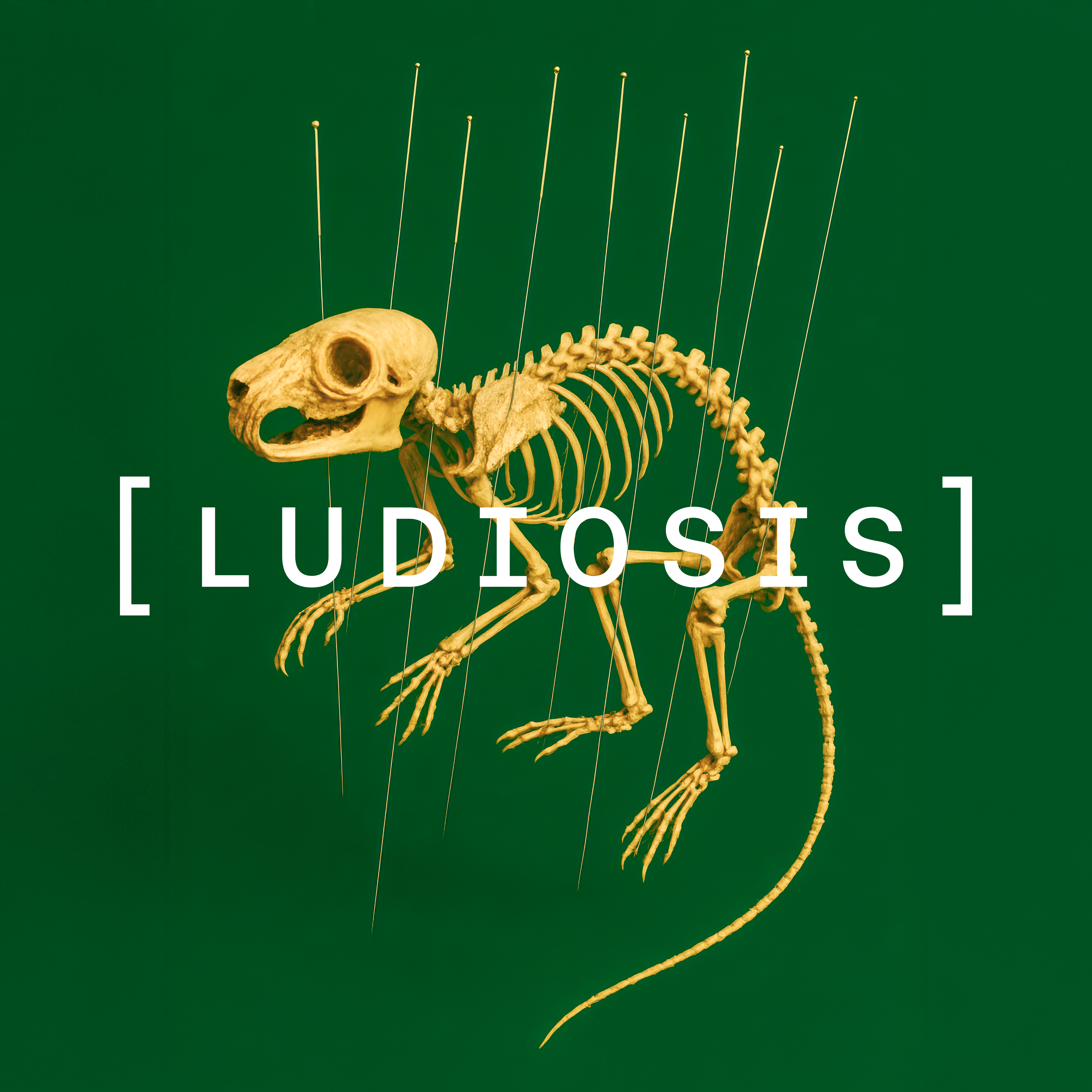 LUDIOSIS